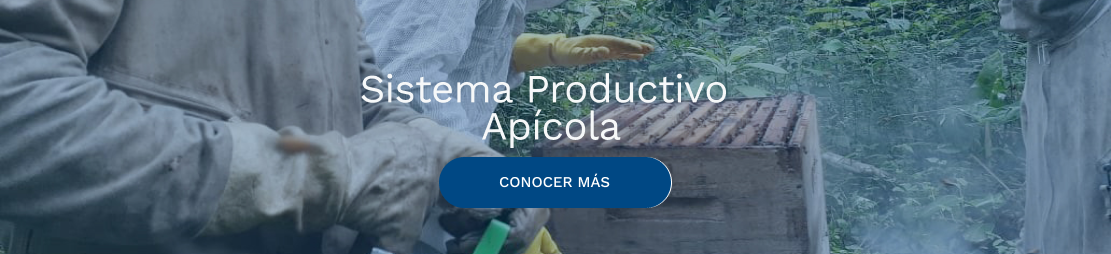 Apicola