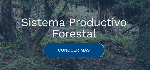 forestal