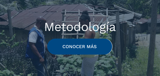 metodolog¡a